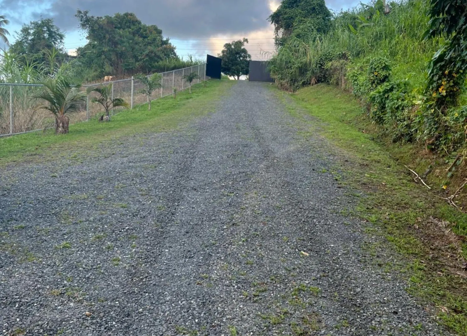 Two Bedroom Ocean And Mountain View Container Home Luquillo